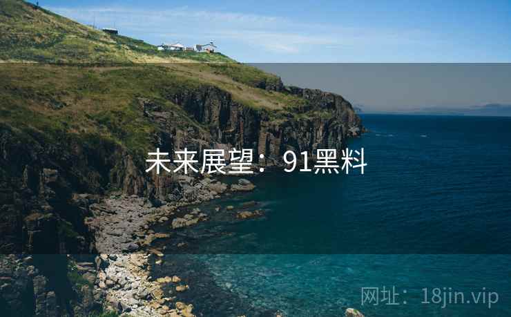 未来展望:91黑料 未来展望:91黑料