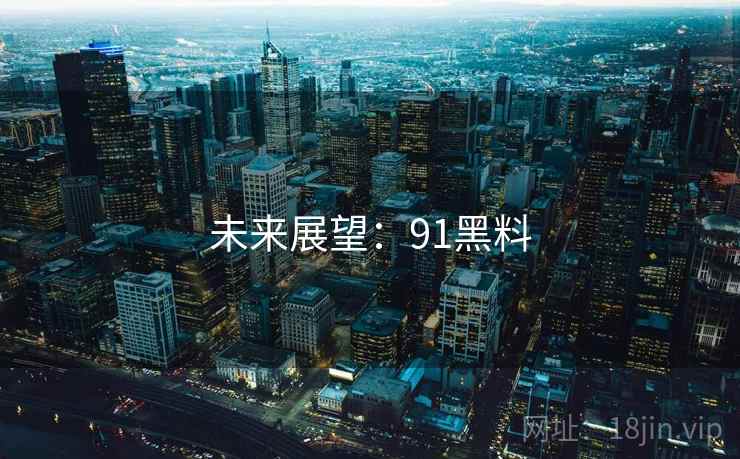 未来展望：91黑料