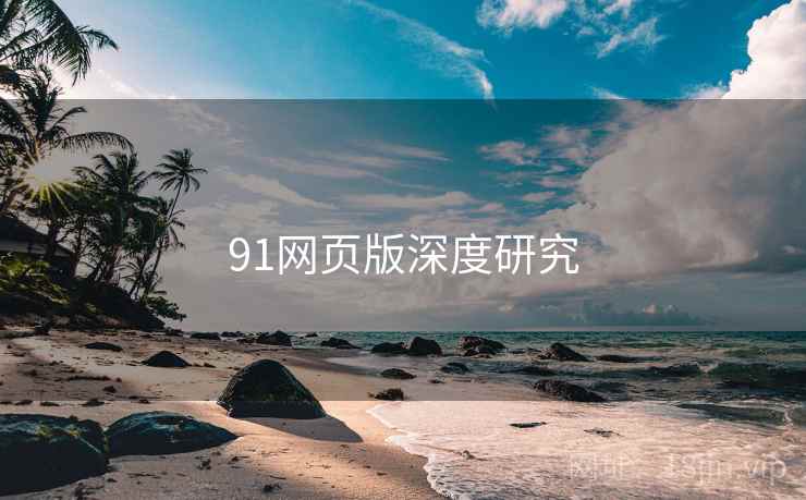 91网页版深度研究