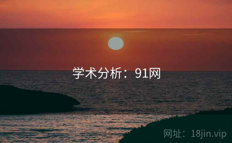 学术分析:91网 学术分析:91网