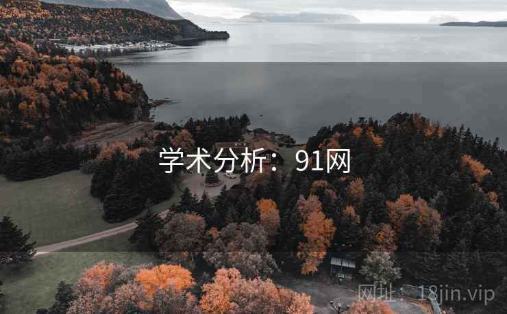 学术分析:91网 学术分析:91网