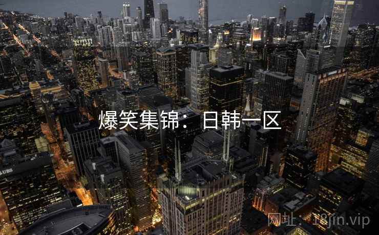 爆笑集锦:日韩一区 爆笑集锦:日韩一区