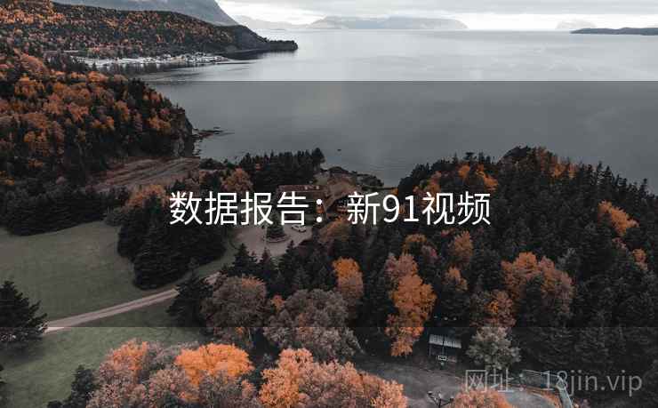 数据报告:新91视频 数据报告:新91视频