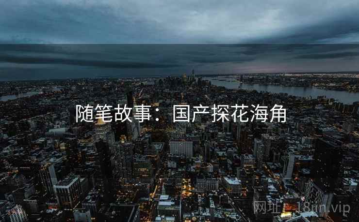 随笔故事：国产探花海角