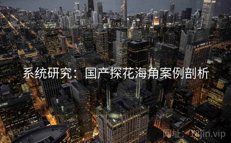 系统研究:国产探花海角案例剖析 系统研究:国产探花海角案例剖析