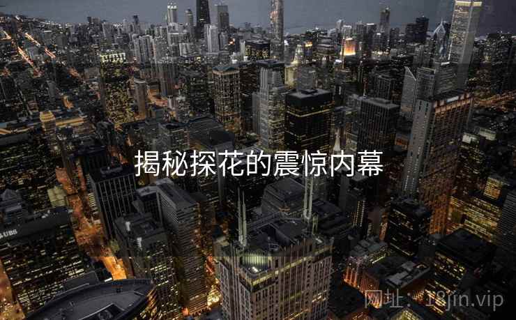 揭秘探花的震惊内幕 揭秘探花的震惊内幕