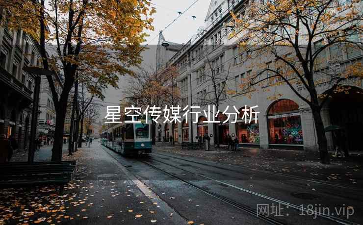 星空传媒行业分析 星空传媒行业分析