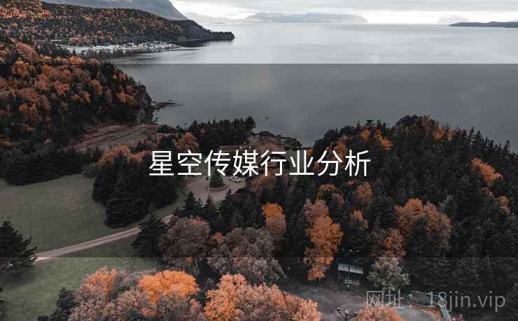 星空传媒行业分析