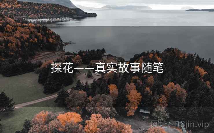 探花——真实故事随笔