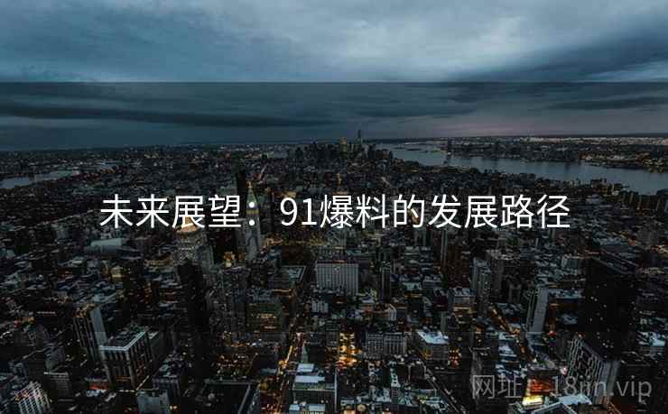 未来展望:91爆料的发展路径