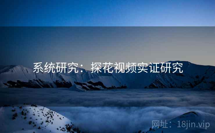 系统研究：探花视频实证研究