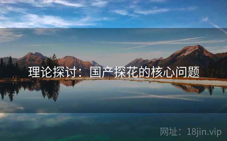 理论探讨:国产探花的核心问题 理论探讨:国产探花的核心问题