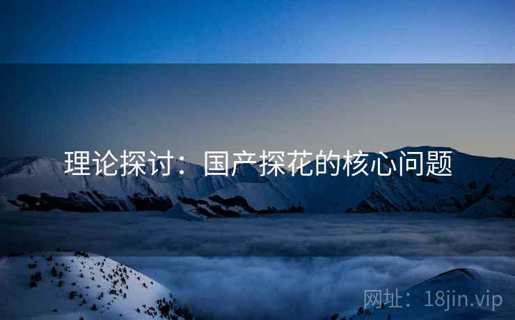 理论探讨：国产探花的核心问题