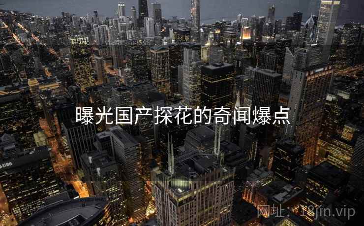 曝光国产探花的奇闻爆点