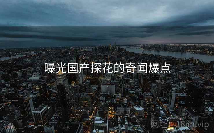 曝光国产探花的奇闻爆点 曝光国产探花的奇闻爆点
