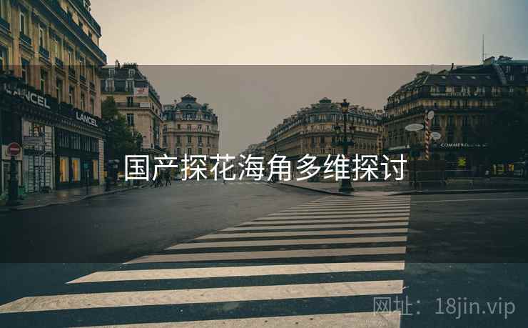 国产探花海角多维探讨