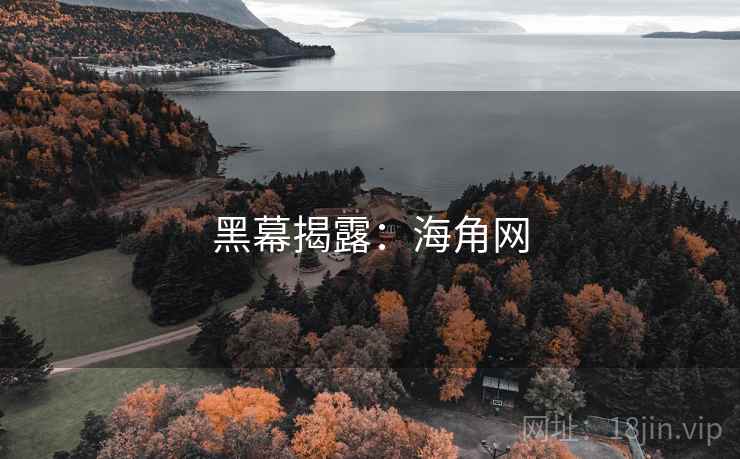 黑幕揭露:海角网