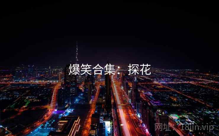 爆笑合集:探花