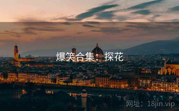 爆笑合集:探花 爆笑合集:探花