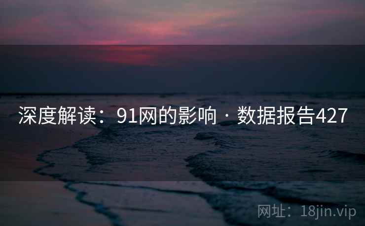 深度解读：91网的影响 · 数据报告427